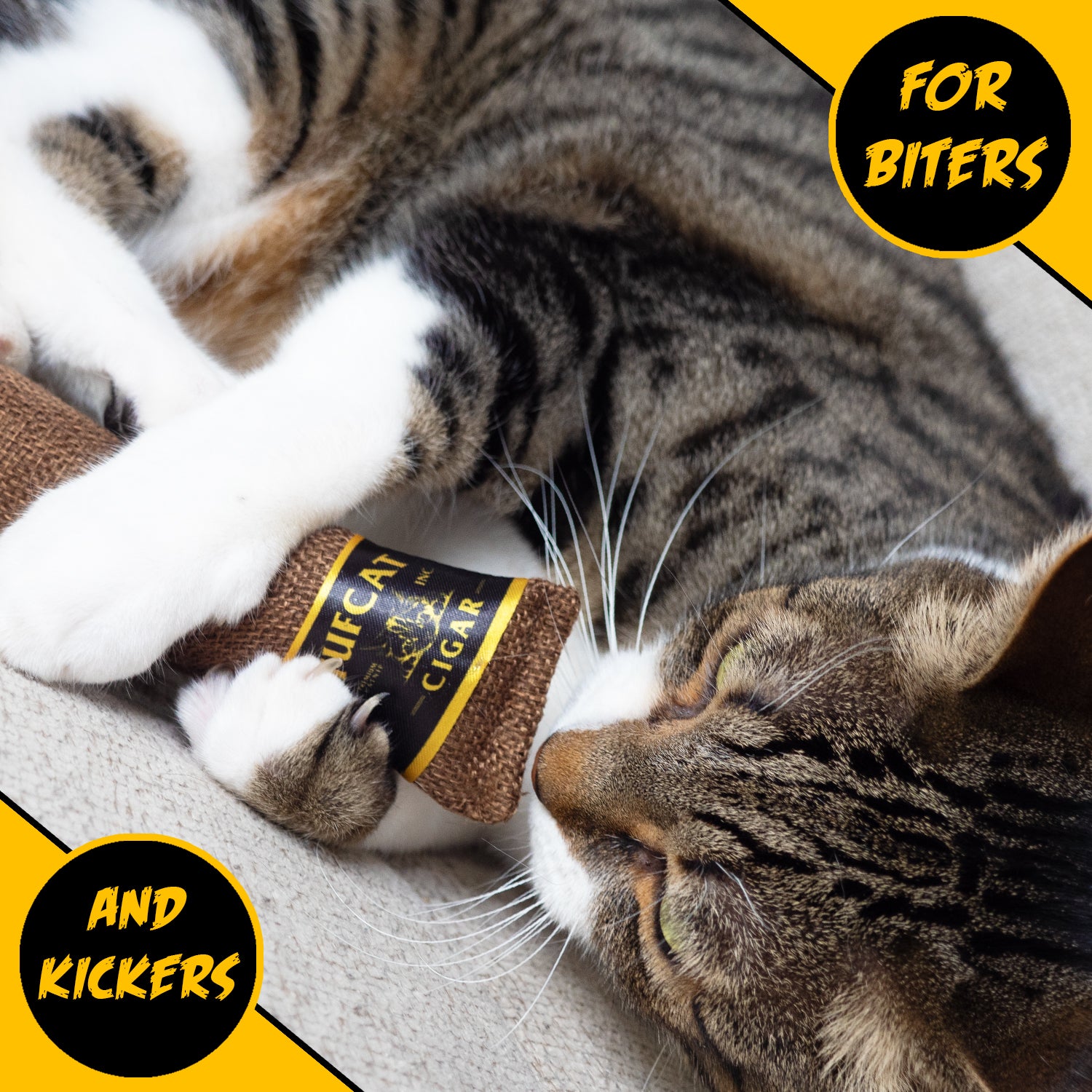 Cigar Catnip Toy