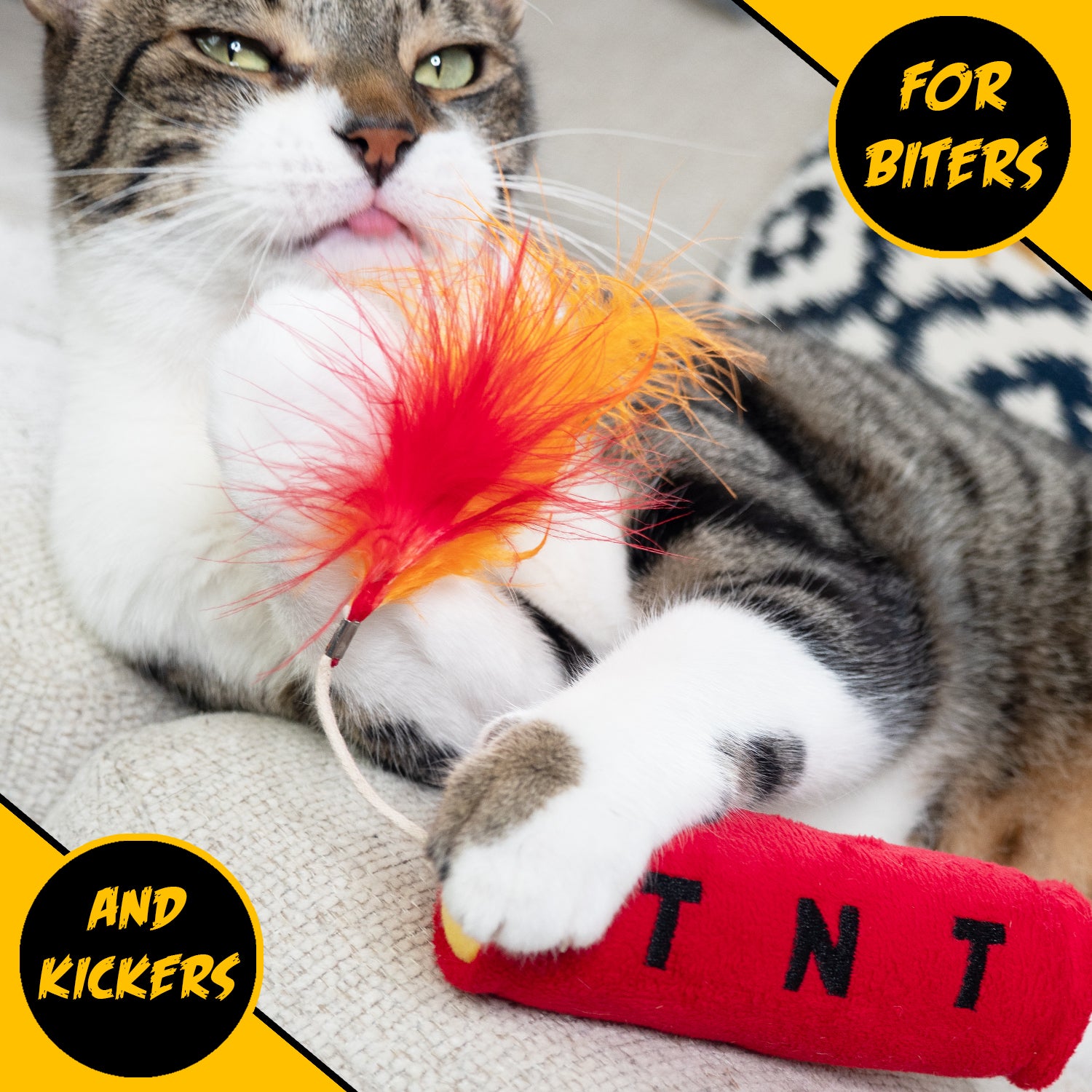 TNT Catnip Toy